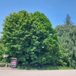 Toggenburg Museum - Wattwil