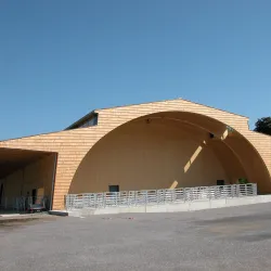 Wattwil Market - Wattwil