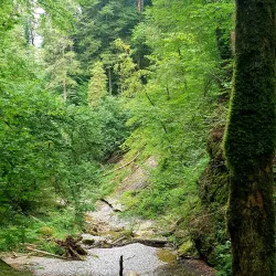 Wattwil Nature Trails - Wattwil