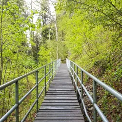 Wattwil Nature Trails - Wattwil