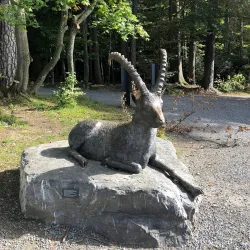 Wildpark Peter and Paul - Wattwil