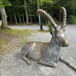 Wildpark Peter and Paul - Wattwil