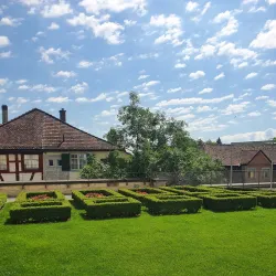 Kunstmuseum Wil - Wil