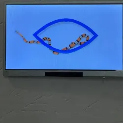 Kunstmuseum Wil - Wil