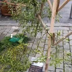 Marktplatz Wil - Wil