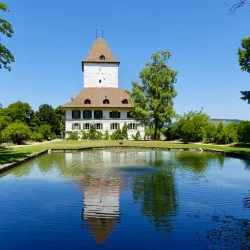 Schlosswil (Wil Castle) - Wil
