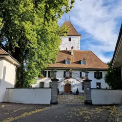 Schlosswil (Wil Castle) - Wil
