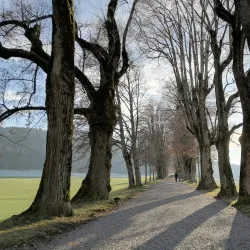 Schlosswil (Wil Castle) - Wil