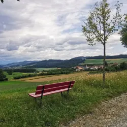 Schlosswil (Wil Castle) - Wil