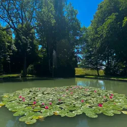 Schlosswil (Wil Castle) - Wil