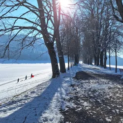 Schlosswil (Wil Castle) - Wil