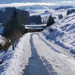 Säntisblick Hiking Trail - Wil