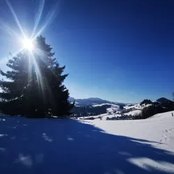 Säntisblick Hiking Trail - Wil