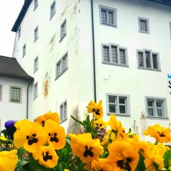 Wil Old Town (Altstadt) - Wil