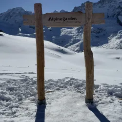 Riffelsee Lake - Zermatt