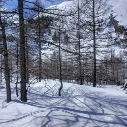 Zermatt-Furi Suspension Bridge - Zermatt