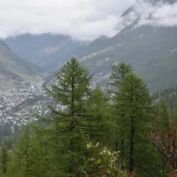 Zermatt-Furi Suspension Bridge - Zermatt