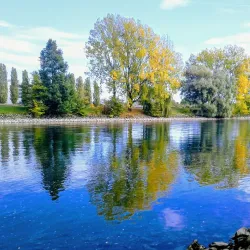 Aare River Walks - Zofingen