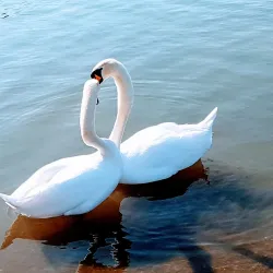 Aare River Walks - Zofingen