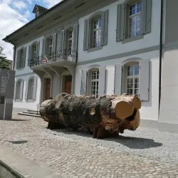 Kunsthaus Zofingen - Zofingen
