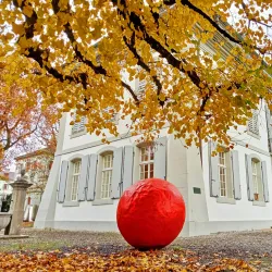 Kunsthaus Zofingen - Zofingen