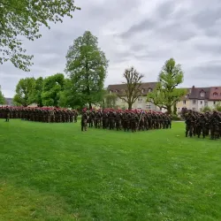 Kunsthaus Zofingen - Zofingen