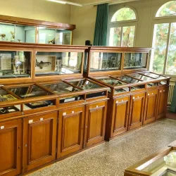 Museum Aargau - Zofingen Branch - Zofingen