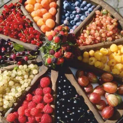 Zofingen Market - Zofingen