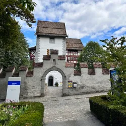 Museum Burg Zug - Zug
