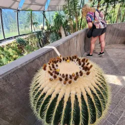 Zug Botanical Garden - Zug