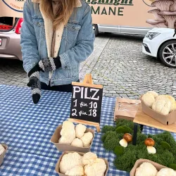 Zug Market - Zug