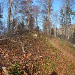 Zugerberg Mountain - Zug