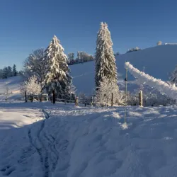 Zugerberg Mountain - Zug
