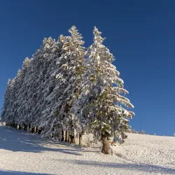 Zugerberg Mountain - Zug