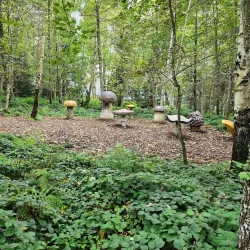 Zugerberg Mountain - Zug