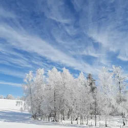 Zugerberg Mountain - Zug