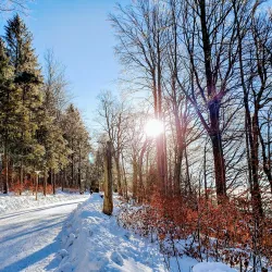 Uetliberg Mountain - Zurich