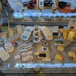 Local Swiss Cheese Dairy - Zweisimmen