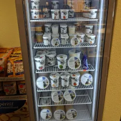 Local Swiss Cheese Dairy - Zweisimmen