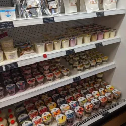 Local Swiss Cheese Dairy - Zweisimmen