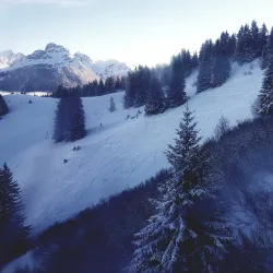 Rinderberg Mountain - Zweisimmen
