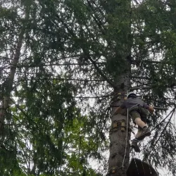 Zweisimmen Adventure Park - Zweisimmen