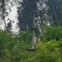 Zweisimmen Adventure Park - Zweisimmen