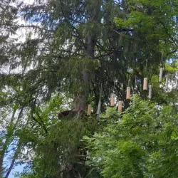 Zweisimmen Adventure Park - Zweisimmen