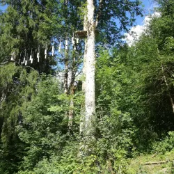 Zweisimmen Adventure Park - Zweisimmen