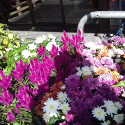 Zweisimmen Christmas Market - Zweisimmen