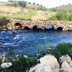 Afrin Olive Groves - 'afrin