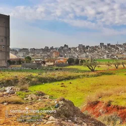 Afrin Olive Groves - 'afrin