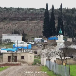 Afrin Olive Groves - 'afrin