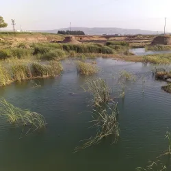 Afrin River - 'afrin